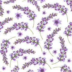 Floral seamless pattern with purple flowers, watercolor