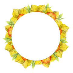 Watercolor hand drawn circle wreath with spring flowers, daffodils, crocus, snowdrops, leaves. Isolated on white background. Design for invitations, wedding, greeting cards, wallpaper, print, textile.