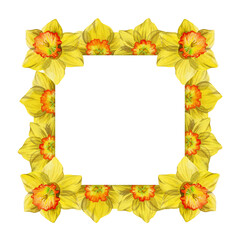Watercolor hand drawn square frame with spring flowers, daffodils, snowdrops, branches, leaves. Isolated on white background. Design for invitations, wedding, greeting cards, wallpaper, print, textile