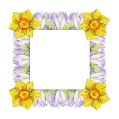 Obraz premium Watercolor hand drawn square frame with spring flowers, crocus, snowdrops, daffodils, leaves. Isolated on white background. Design for invitations, wedding, greeting cards, wallpaper, print, textile.