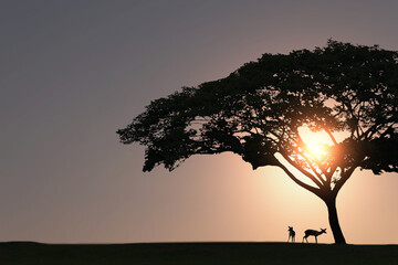 silhouette of two deer standing under a big tree in the evening sun