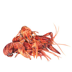 Watercolor illustration crafish isolated on white