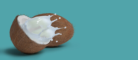coconut isolated