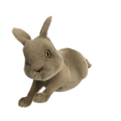 2023 干支 ウサギ うさぎ 兔 新年 年賀状 3D CG 飛躍 跳躍 3DCG 透過PNG