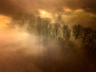 Mgła i promienie słońca przebijające się przez drzewa - widok z drona