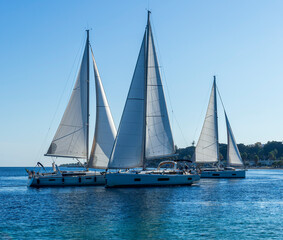 sailing yacht boats with white sails in blue sea , seascape of beautiful ships in sea gulf with...