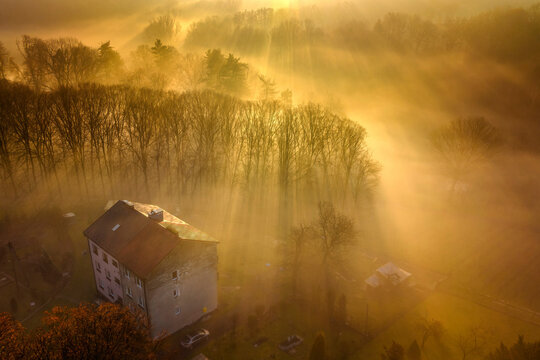 Mgła i promienie słońca przebijające się przez drzewa - widok z drona © Michal45