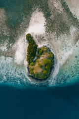 Green island in the middle of the ocean by drone