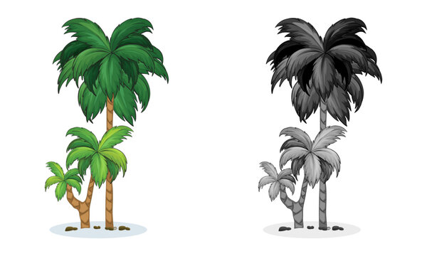 Tropical Palm Trees, Bright tropical decoration. Vector flat style cartoon palm illustration isolated on white background