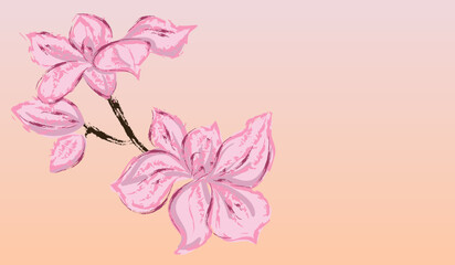 Fototapeta na wymiar Pink flower background
