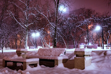lantern night snow tree