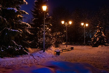 lantern night snow tree