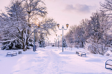 winter promenade for walking with a bench and a lantern