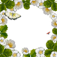 A frame with a white strawberry flower, a butterfly and a ladybug on a white background. Watercolor illustration of berries and flowers with space for text. Design of postcard, invitation, pack.