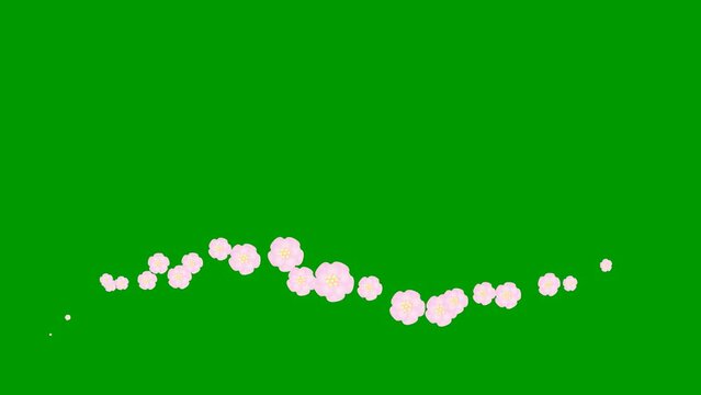 Animated pink beautiful flowers fly from left to right. Looped video. Concept of spring. A wave of flying sakuras flowers on green background.
