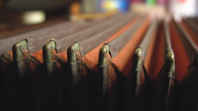 Musical instrument accordion in the hands of a male musician. The concept of culture and art.