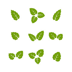 Set of green leaves. Leaves isolated on white background. Flat style. Vector illustration.	