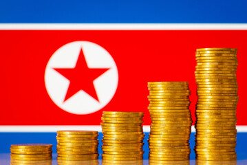Money coins stacks in rising order in front of North Korea flag. Development of economy of North...