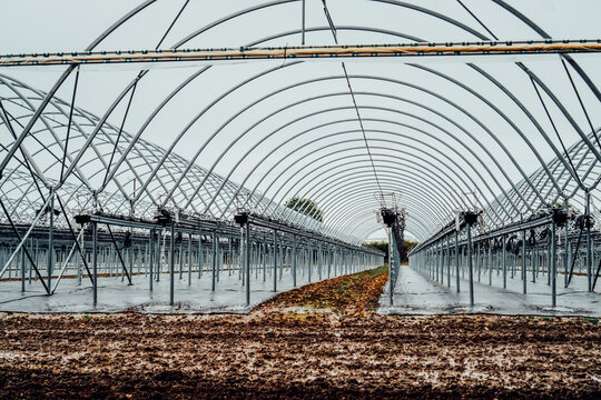 Interior of modern hothouse with an advanced system of irrigation and plant care in off-season. Polytunnel and growing system during winter. Selective focus.
