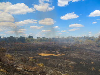 Forest fires in Tanzania