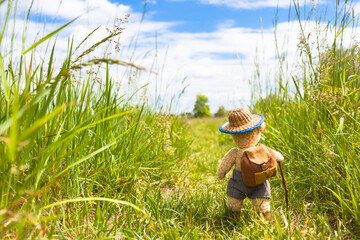 Nature Travel Lifestyle Nostalgia / Little teddy bear boy hiker with hat and backpack at big summer meadow (copy space)