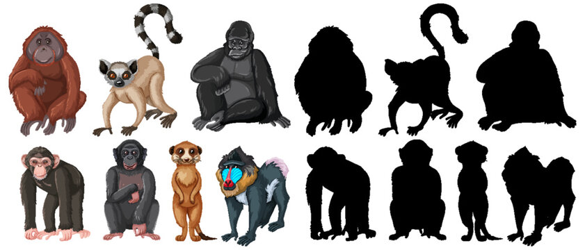 Set of cartoon animals with silhouette