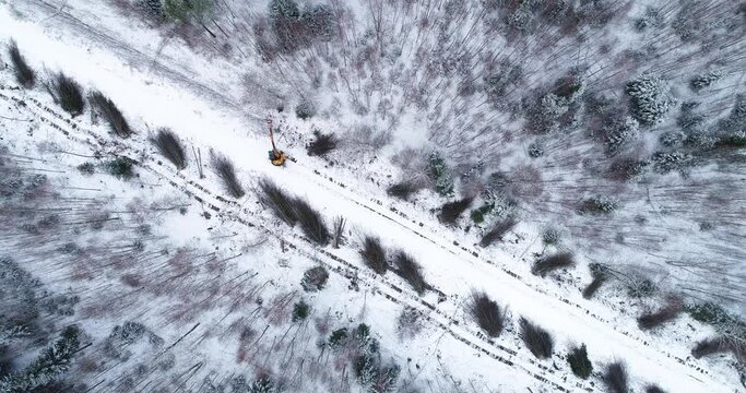 An aerial of a yellow guillotine cutting down energy wood and low-value hardwood next to a small road in wintry Estonia, Northern Europe	
