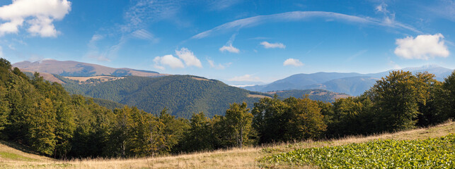 Obraz premium Carpathian Mountains panoramic landscape, Ukraine.
