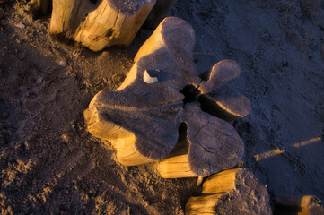 single groyne on the beach. squiggly shape of the wood. Sand and sea around the trunk