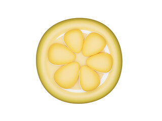 Fototapeta na wymiar slice of lemon 3D