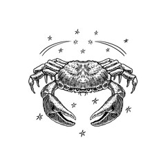 Cancer Zodiac sign. Modern magic Astrological symbol. Illustration of horoscope. Boho design for witchcraft card. Hand drawn Engraved old monochrome sketch.