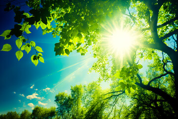 Obraz na płótnie Canvas The glare of the sun in the tree leaves. Sunlight through the green tree branches, Generative AI. Spring, summer, enviroment and happiness concept background for banners. Design element.