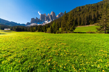 Odle from green meadows of Malga Zannes, South Tyrol, Italy