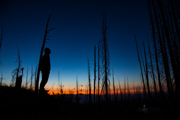 A silhouetted man looks up at twilight in a burned forest in Montana.