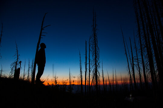 A silhouetted man looks up at twilight in a burned forest in Montana.