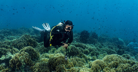 Diver floating over coral garden close to Komodo Island in Indonesia