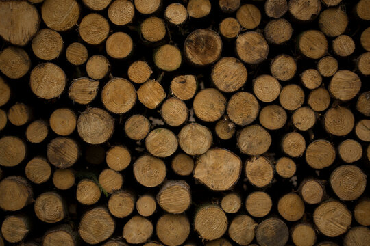 A pile of logs with their front sides facing to the camera. Rhoen Mountains, Germany