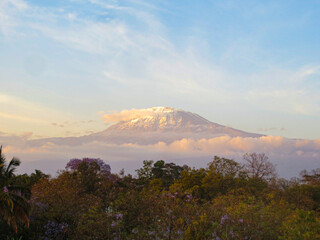 Views of kilimanjaro at sunset, Tanzania