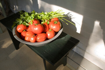 Broad leaf parsley and red tomatoes.