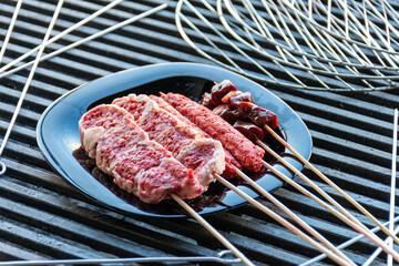 Close-up of skewers of raw meat and chicken on a plate.