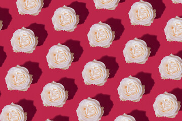 Rose bud pattern on viva magenta color background. Floral background in trendy color