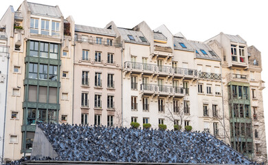 Isolated PNG cutout of a cityscape in Paris with a lot of pigeons on a transparent background, ideal for photobashing, matte-painting, concept art