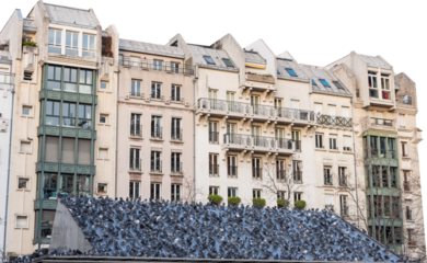 Isolated PNG cutout of a cityscape in Paris with a lot of pigeons on a transparent background, ideal for photobashing, matte-painting, concept art