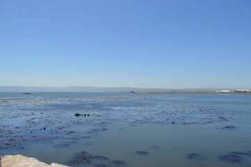 a beautiful boardwalk on the coast of Chile in the summer