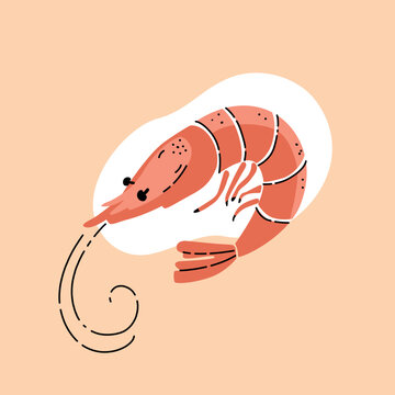 recommend clip art: Vector illustration of an orange shrimp in a doodle style on a white background.