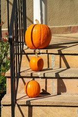 Row of decorative pumpkins on the porch of a house in a suburban area with cement steps and black...