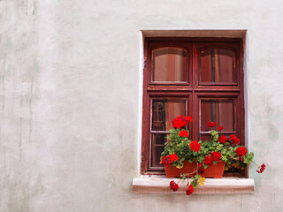 Fototapeta na wymiar Old rustic window with red geraniums flowers