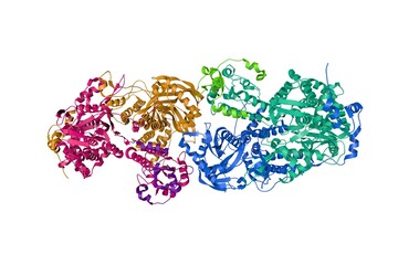 Influenza A virus H7N9 polymerase apo-protein dimer complex. Ribbons diagram with differently colored protein chains based on protein data bank entry 7zpm. Scientific background. 3d illustration