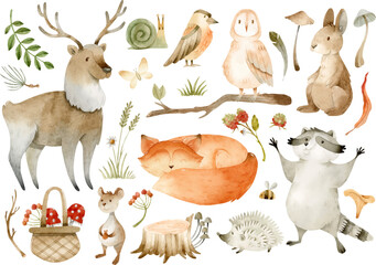 Watercolor forest animals and nature elements isolated clipart set 