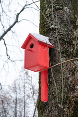 A red birdhouse on the street nailed to a tree.